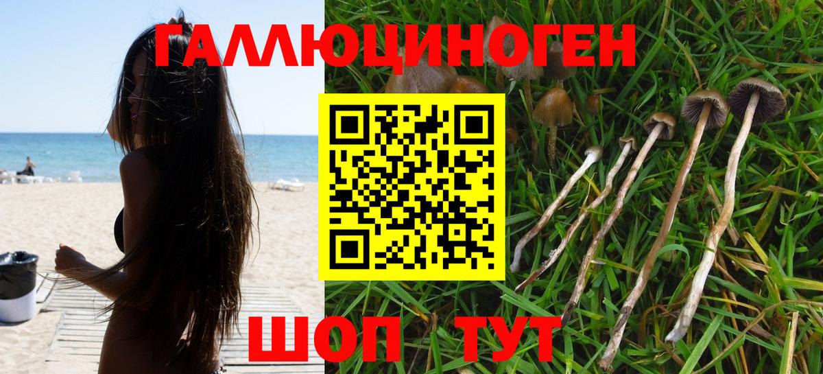 закладка  Псилоцибиновые грибы Psilocybine cubensis  Галлюциногенные грибы мицелий  Вход с VPN  Тара 