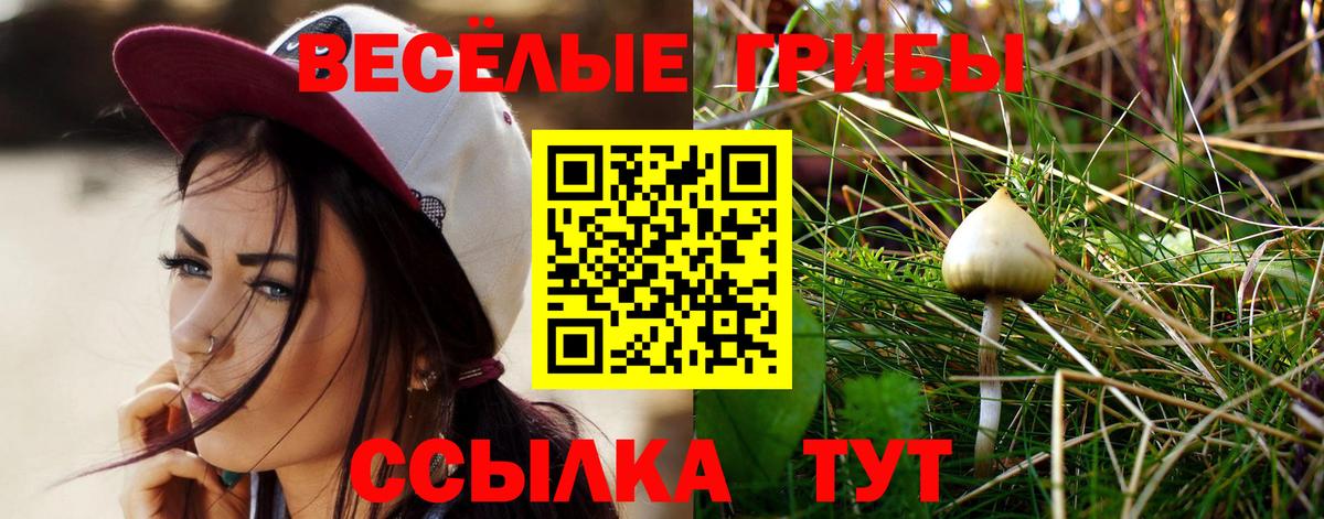 Галлюциногенные грибы GOLDEN TEACHER  Тара 