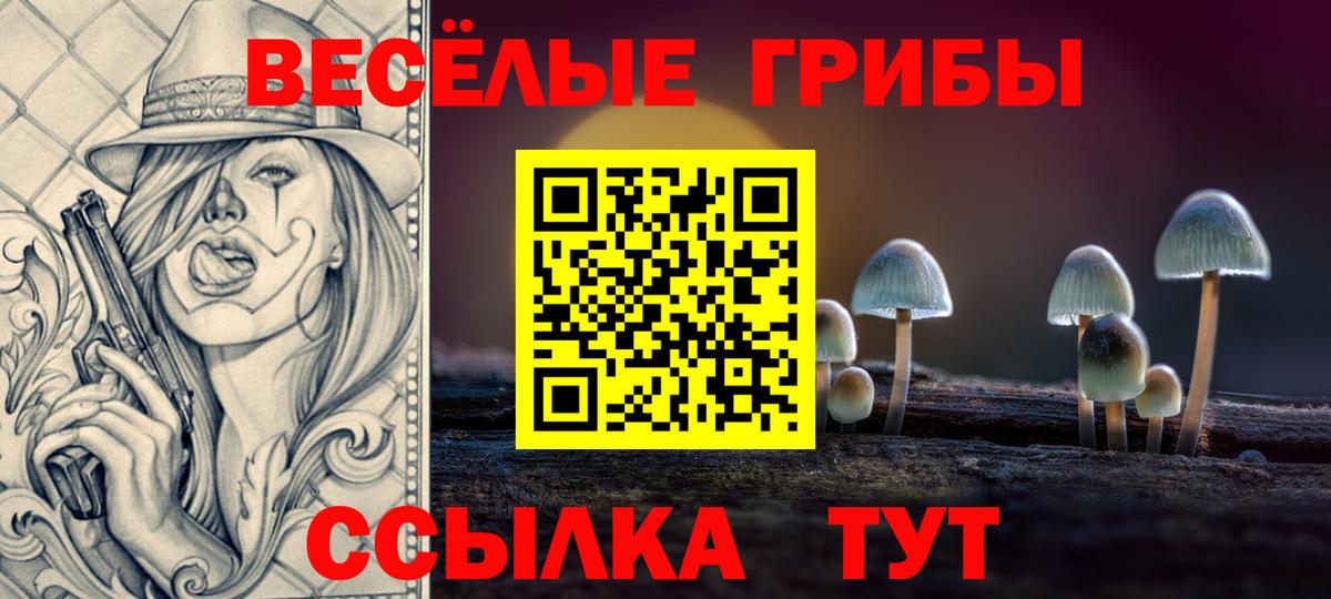 Галлюциногенные грибы Psilocybine cubensis Тара